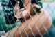 A pregnant woman behind a chain link fence.